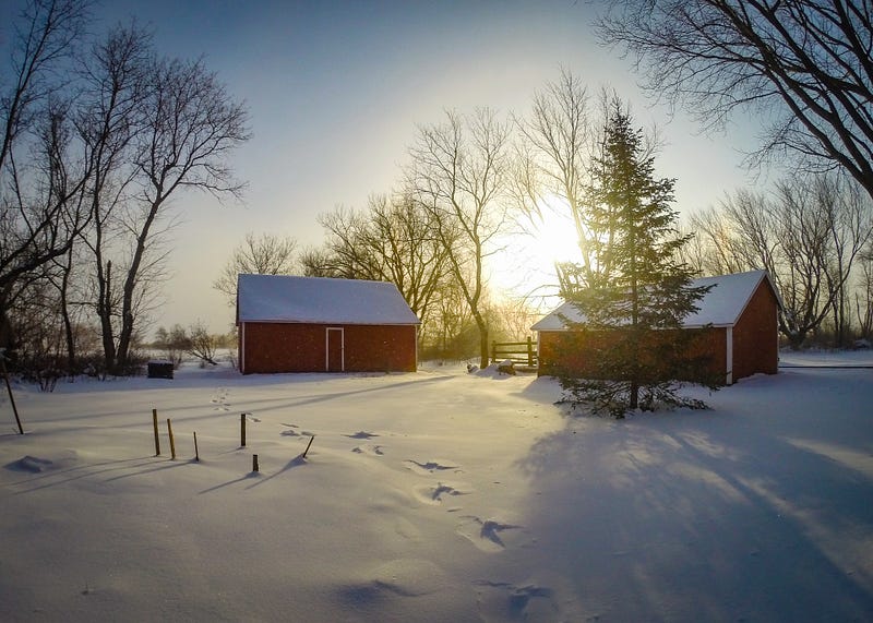 Capturing the chill of beautiful winter days