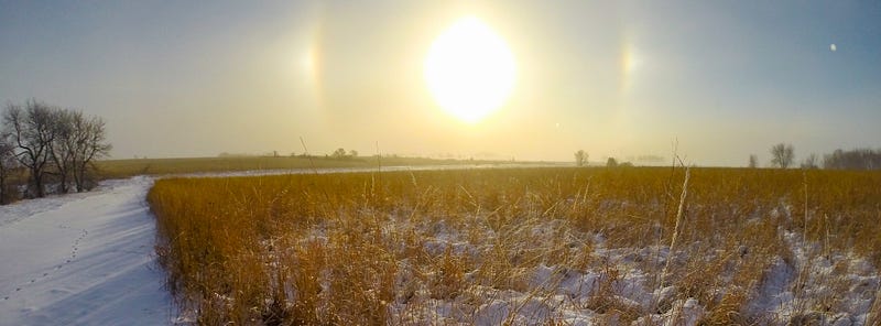 Farm dreams awaiting realization