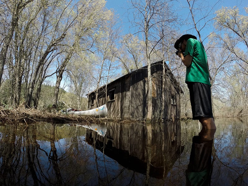 The house in the river