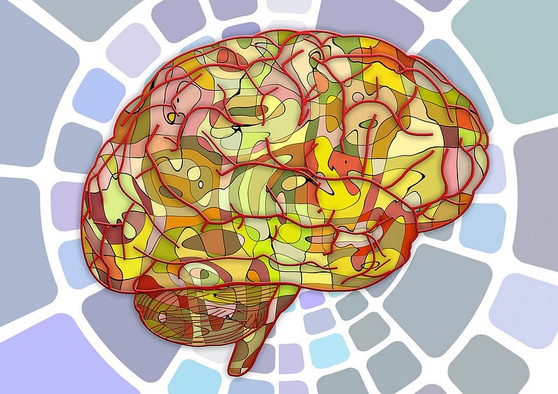 Brain structure comparison related to obesity and Alzheimer's