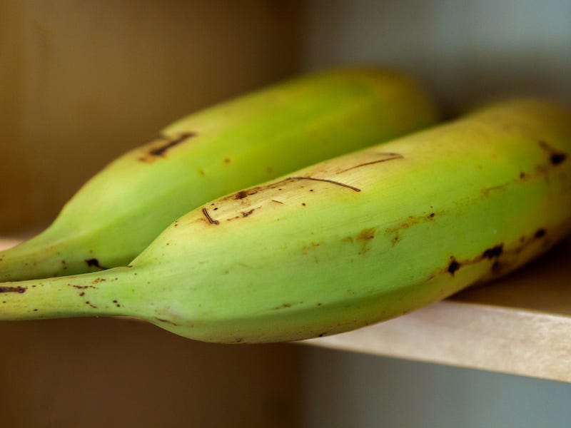 The ripening process of bananas