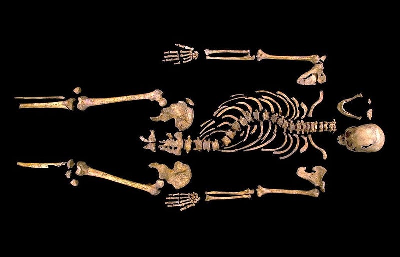 Skeleton of Richard III discovered in Leicester