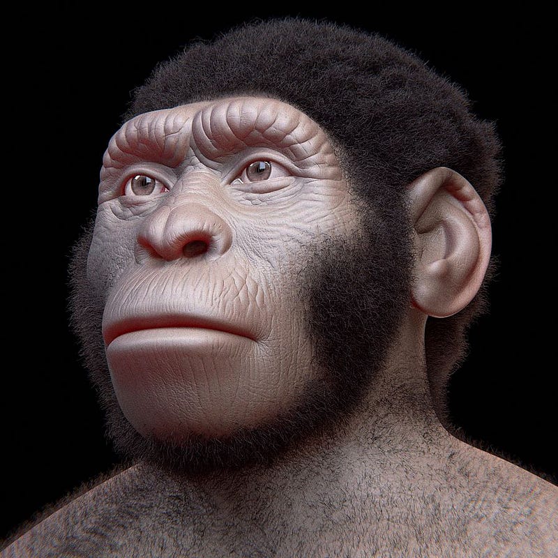 Artistic interpretation of Homo Naledi