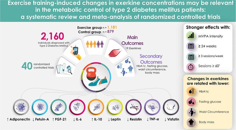 Graphical representation of exercise benefits on exerkines