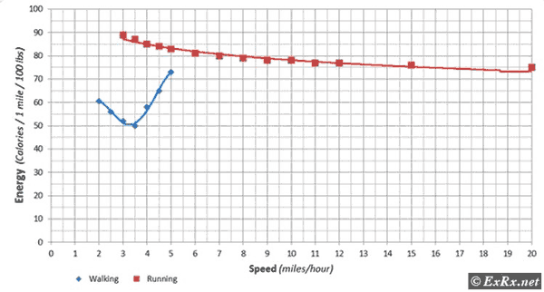 Graph comparing walking and running efficiency