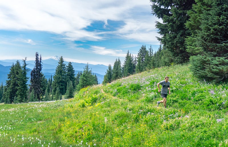 Scenic view of the Kim Williams Trail