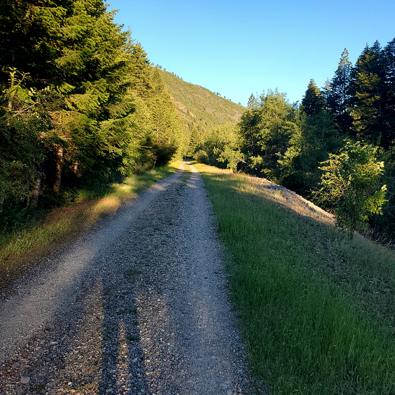 Author's view along the trail