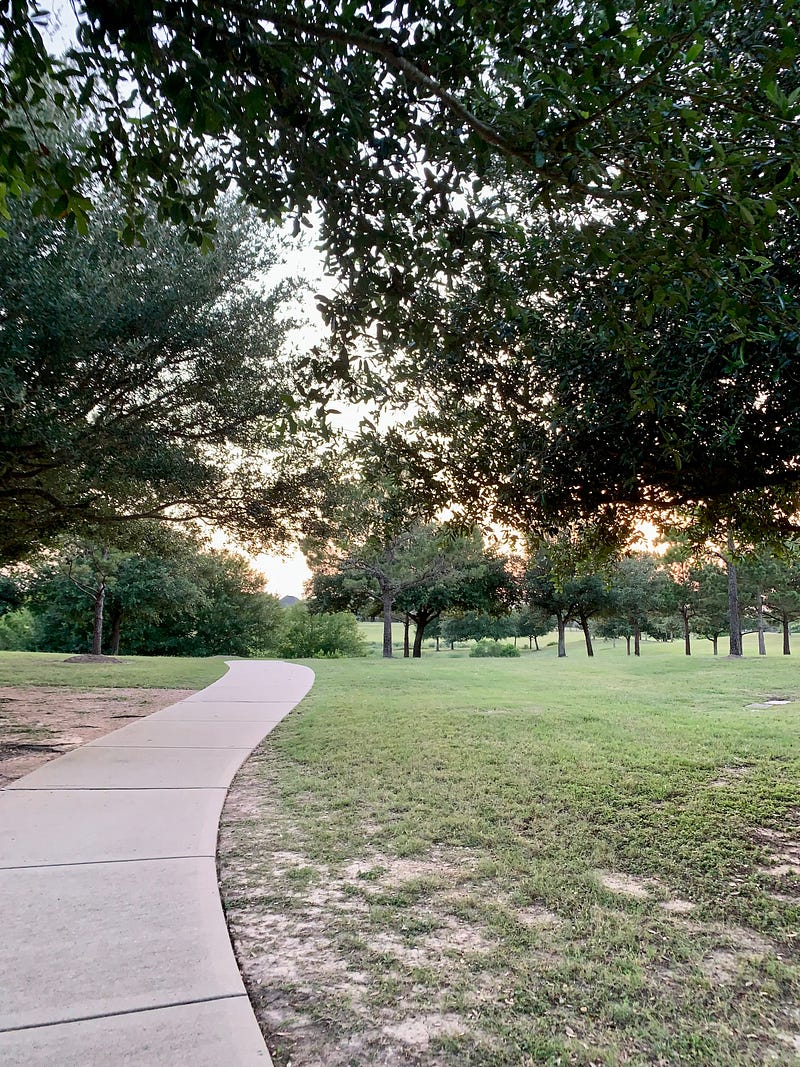 The impact of tree cover on health