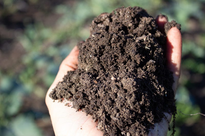 Healthy soil as a climate solution