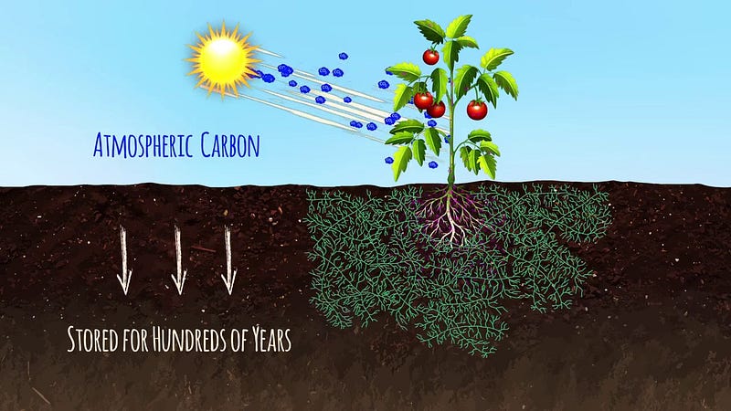 Soil ecosystem thriving with microbes