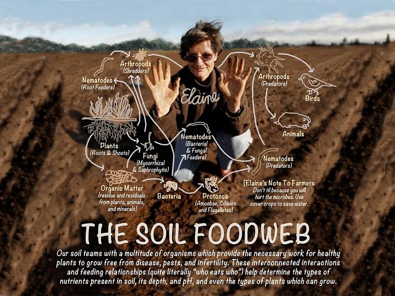 Soil as a key player in climate solutions