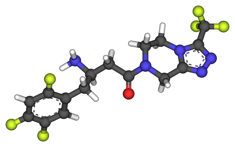 Molecular model of DPP-4 inhibitors