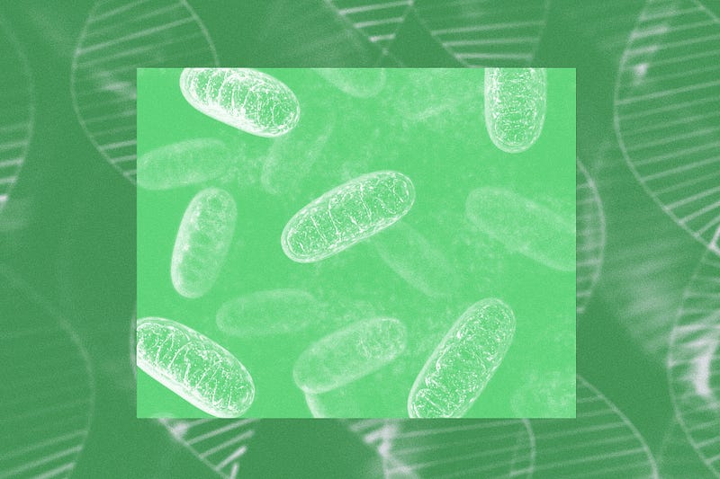 Innovative gene editing techniques for mitochondrial DNA