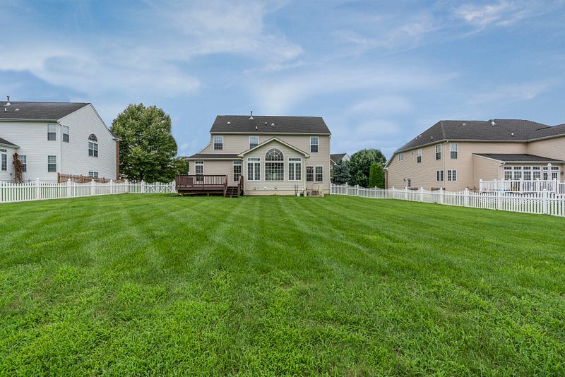 A perfectly maintained lawn showcasing monoculture.