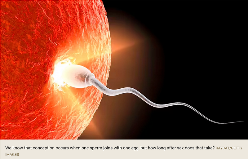 Scientific exploration of conception light phenomena.