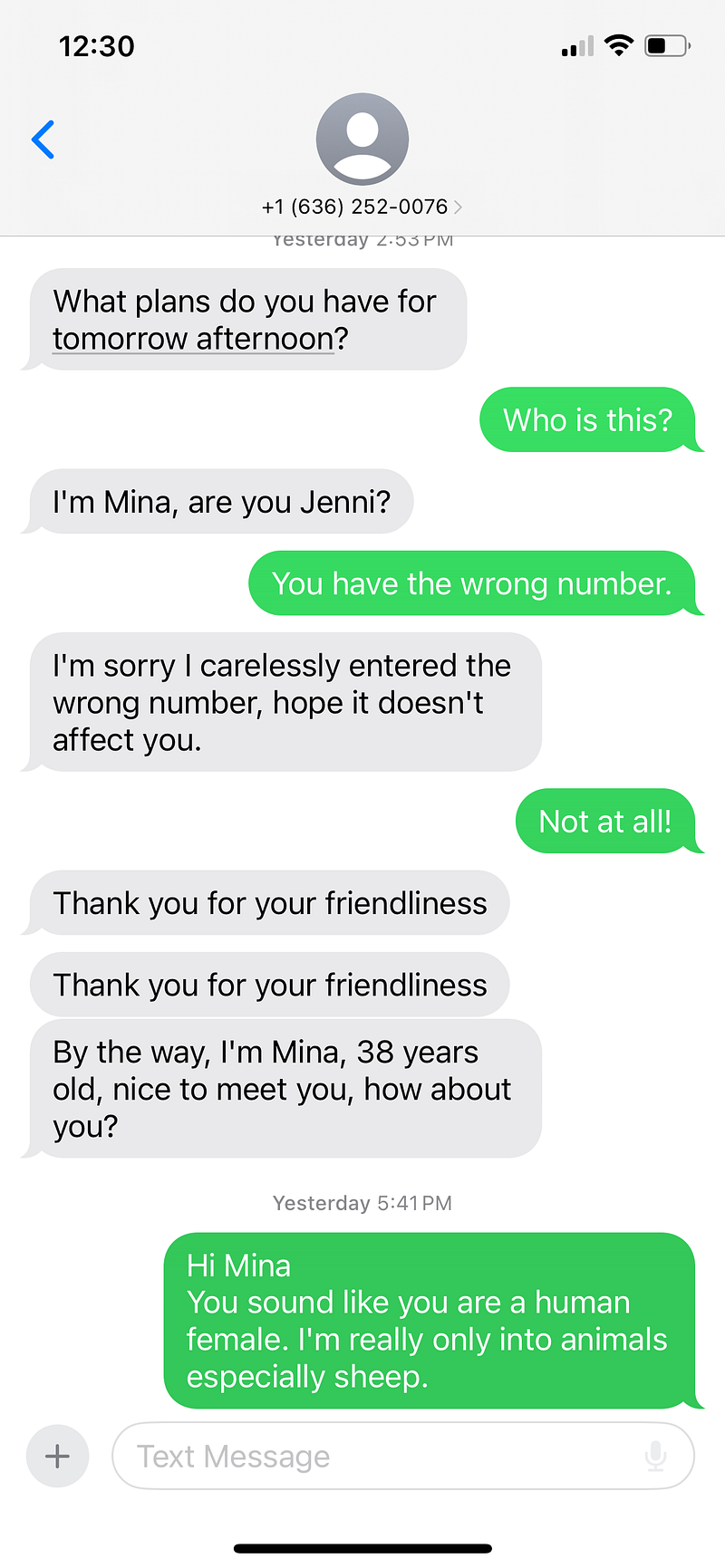 Text conversation with a scammer